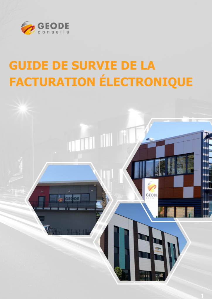 Livret Blanc Guide de survie Facture électronique